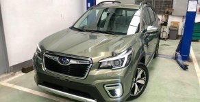 Subaru Forester   2019 - Bán Subaru Forester 2019, nhập khẩu nguyên chiếc, giá chỉ 960 triệu giá 960 triệu tại Tp.HCM