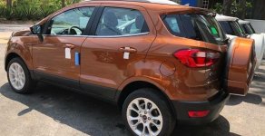 Ford EcoSport   2019 - Cần bán xe Ford EcoSport sản xuất 2019, màu nâu giá 505 triệu tại BR-Vũng Tàu