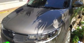 Kia Forte   MT 2010 - Cần bán Kia Forte MT năm sản xuất 2010, xe nhập giá 310 triệu tại Đắk Lắk