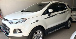 Ford EcoSport   AT 2017 - Bán ô tô Ford EcoSport AT 2017, màu trắng, giá chỉ 503 triệu giá 503 triệu tại Tp.HCM