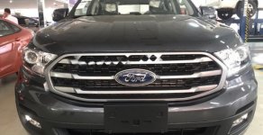 Ford Everest 2019 - Bán xe Ford Everest Ambient 2.0 AT đời 2019, xe nhập giá 990 triệu tại Hải Dương