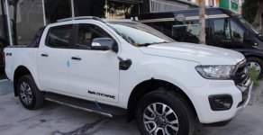 Ford Ranger 2019 - Cần bán Ford Ranger Wildtrak sản xuất năm 2019, xe nhập giá 918 triệu tại Kiên Giang