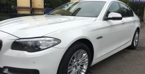 BMW 5 Series   2014 - Bán BMW 520i sản xuất 2014, màu trắng, nhập khẩu   giá 1 tỷ 320 tr tại Hà Nội
