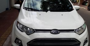 Ford EcoSport 2014 - Bán Ford EcoSport 2014, màu trắng xe nguyên bản giá 445 triệu tại BR-Vũng Tàu