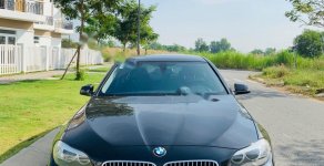 BMW 5 Series 520i 2013 - Bán BMW 5 Series 520i đời 2013, màu đen, nhập khẩu nguyên chiếc giá 998 triệu tại Tp.HCM