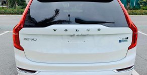 Volvo XC90 2017 - Bán ô tô Volvo XC90 đời 2017, màu trắng, nhập khẩu giá 3 tỷ 490 tr tại Hà Nội