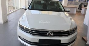 Volkswagen Passat 2018 - Bán xe hạng sang Volkswagen Passat Bluemotion Comfort năm 2018, màu trắng, xe mới 100% giá 1 tỷ 380 tr tại Tp.HCM