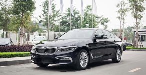 BMW 5 Series 520i 2019 - Bán ô tô hạng sang BMW 5 Series năm sản xuất 2019, màu đen, nhập khẩu giá 2 tỷ 389 tr tại Tp.HCM
