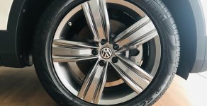 Volkswagen Tiguan 2019 - Bán xe Volkswagen Tiguan đời 2019, màu trắng, nhập khẩu nguyên chiếc giá 1 tỷ 729 tr tại Đà Nẵng