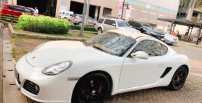 Porsche Cayman 2009 - Bán Porsche Cayman đời 2009, màu trắng, xe nhập chính hãng giá 1 tỷ 350 tr tại Tp.HCM