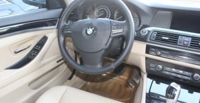 BMW 5 Series 2010 - Bán ô tô BMW 5 Series 523i sản xuất 2010, màu bạc, nhập khẩu nguyên chiếc, giá tốt giá 850 triệu tại Tp.HCM