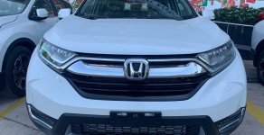 Honda CR V G 2019 - Tậu xế giá rẻ - Vi vu Tết về, Honda CRV G năm sản xuất 2019, màu trắng giá 1 tỷ 23 tr tại Đồng Nai