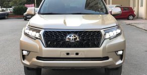 Toyota Prado   2013 - Bán xe Toyota Prado 2013, màu vàng, xe nhập chính hãng giá 1 tỷ 490 tr tại Hà Nội