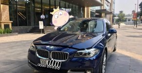 BMW 5 Series 2016 - Bán BMW 5 Series sản xuất 2016, màu xanh lam, xe nhập chính hãng giá 1 tỷ 500 tr tại Hà Nội