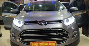 Ford EcoSport 2016 - Bán ô tô Ford EcoSport năm 2016, màu xám, chính chủ giá 430 triệu tại Đắk Lắk