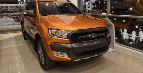 Ford Ranger Wildtrak 2019 - Ford Ford Ranger Wildtrak 2.0 Bi-Turbo năm 2019 Siêu giảm giá - Nhận quà liền tay - Có xe giao tận nhà giá 795 triệu tại Tp.HCM