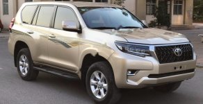 Toyota Prado TXL 2.7L 2013 - Cần bán xe Toyota Prado TXL 2.7L năm sản xuất 2013, màu vàng, xe nhập giá 1 tỷ 520 tr tại Hà Nội