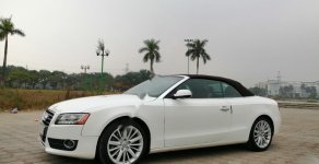 Audi A5   2010 - Cần bán xe Audi A5 đời 2010, màu trắng, nhập khẩu   giá 910 triệu tại Hà Nội