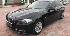 BMW 5 Series   2014 - Cần bán xe BMW 520i đời 2014, màu đen, nhập khẩu  giá 1 tỷ 260 tr tại Hà Nội