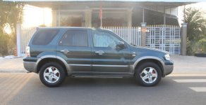 Ford Escape 2005 - Bán ô tô Ford Escape 2005, màu xanh, xe gia đình, 142tr giá 142 triệu tại BR-Vũng Tàu