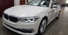 BMW 5 Series 530i 2019 - Bán siêu xe - Giá siêu rẻ, BMW 5 Series 530i năm 2019, màu trắng, xe nhập giá 2 tỷ 869 tr tại Tp.HCM