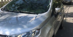 Ford EcoSport Titanium 2016 - Bán Ford EcoSport Titanium 2016, màu bạc, giá tốt giá 460 triệu tại Đà Nẵng