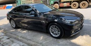 BMW 5 Series 2015 - Bán xe BMW 5 Series năm sản xuất 2015, màu đen, nhập khẩu nguyên chiếc giá 1 tỷ 350 tr tại Hà Nội