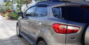 Ford EcoSport 2016 - Cần bán Ford EcoSport 2016, màu bạc xe gia đình giá 510 triệu tại Tiền Giang