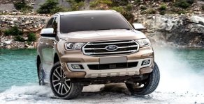 Ford Everest  Trend 4x2 AT 2019 - Giảm gián kịch sàn - Khi mua Ford Everest Trend 4x2 AT đời 2019, màu nâu, nhập khẩu nguyên chiếc giá 1 tỷ 52 tr tại Tây Ninh