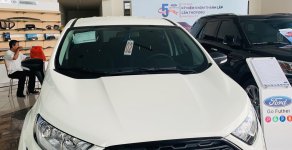 Ford EcoSport 2019 - Hỗ trợ giao xe tận nhà - Mua xe trả góp lãi suất thấp chiếc xe Ford Ecosport Ambiente 1.5L MT, sản xuất 2019 giá 506 triệu tại Cần Thơ