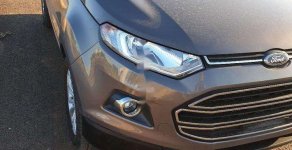 Ford EcoSport 2017 - Cần bán Ford EcoSport đời 2017, màu xám, 495 triệu giá 495 triệu tại Đắk Lắk