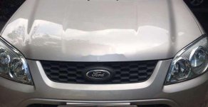 Ford Escape 2013 - Bán Ford Escape đời 2013, giá rất tốt giá 465 triệu tại Tp.HCM