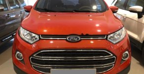 Ford EcoSport 2017 - Bán Ford EcoSport sản xuất 2017 giá cạnh tranh giá 509 triệu tại Tp.HCM