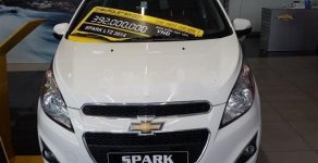 Chevrolet Spark 2014 - Cần bán lại xe Chevrolet Spark năm 2014, màu trắng chính chủ giá cạnh tranh giá 260 triệu tại Tp.HCM