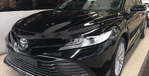 Toyota Camry 2019 - Cần bán Toyota Camry 2.5Q năm sản xuất 2019, xe nhập giá 1 tỷ 235 tr tại Long An