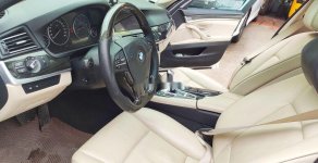 BMW 5 Series 2011 - Cần bán xe BMW 5 Series đời 2011, nhập khẩu nguyên chiếc, 790 triệu giá 790 triệu tại Hà Nội