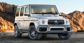 Mercedes-Benz G class 2019 - Ưu đãi đón tết chiếc xe Mercedes-Benz G63 AMG, sản xuất 2019, màu bạc, xe nhập khẩu nguyên chiếc giá 11 tỷ 866 tr tại Tp.HCM