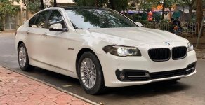 BMW 5 Series 2015 - Bán xe BMW 520i đời 2015, màu trắng, nhập khẩu giá 1 tỷ 390 tr tại Hà Nội