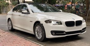 BMW 5 Series 2015 - Bán BMW 5 Series 520i năm 2015, màu trắng, xe nhập giá 1 tỷ 390 tr tại Hà Nội