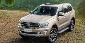 Ford Everest 2019 - Bán nhanh chiếc xe Ford Everest Ambiente sản xuất 2019, giá cạnh tranh, giao xe nhanh tận nhà giá 1 tỷ tại Tây Ninh