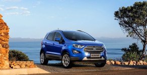 Ford EcoSport 2020 - Bán ưu đãi giá rẻ chiếc xe Ford EcoSport Ambiente 1.5MT, sản xuất 2020, giao xe tận nhà giá 480 triệu tại Tp.HCM