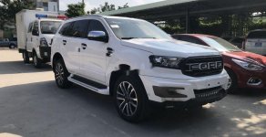 Ford Everest   2019 - Cần bán Ford Everest sản xuất 2019, nhập khẩu giá 919 triệu tại Đà Nẵng