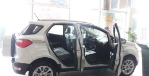 Ford EcoSport  Titanium 1.5  2019 - Cần bán xe Ford EcoSport Titanium 1.5 năm 2019, màu trắng, giá 615tr giá 615 triệu tại Đà Nẵng