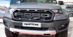Ford Ranger Raptor   2020 - Bán ô tô Ford Ranger Raptor đời 2020, màu bạc, nhập khẩu giá 1 tỷ 205 tr tại Kiên Giang