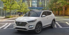Hyundai Tucson 2020 - Bán nhanh giá ưu đãi khi mua chiếc xe Hyundai Tucson 2.0L máy xăng, tiêu chuẩn, giao dịch nhanh gọn giá 788 triệu tại Thanh Hóa