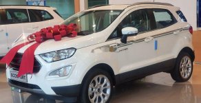 Ford EcoSport   2019 - Bán Ford EcoSport 2019, màu trắng, giá chỉ 499 triệu giá 499 triệu tại TT - Huế