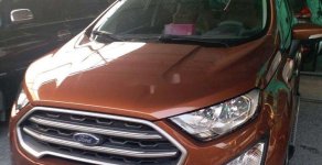 Ford EcoSport 2018 - Bán Ford EcoSport sản xuất 2018 chính chủ giá 520 triệu tại Tp.HCM
