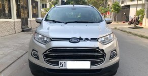 Ford EcoSport 2017 - Bán Ford EcoSport sản xuất 2017, màu bạc xe gia đình giá cạnh tranh giá 485 triệu tại Tp.HCM