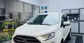 Hãng khác Khác 2020 - EcoSport Titanium 1.5 AT 2020 giá 479 triệu tại Tp.HCM
