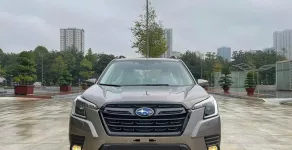 Hãng khác Khác 2023 - Chính chủ bán xe Subaru forester 2.0 LI ,Đăng ký 06/2023  giá 820 triệu tại Tp.HCM